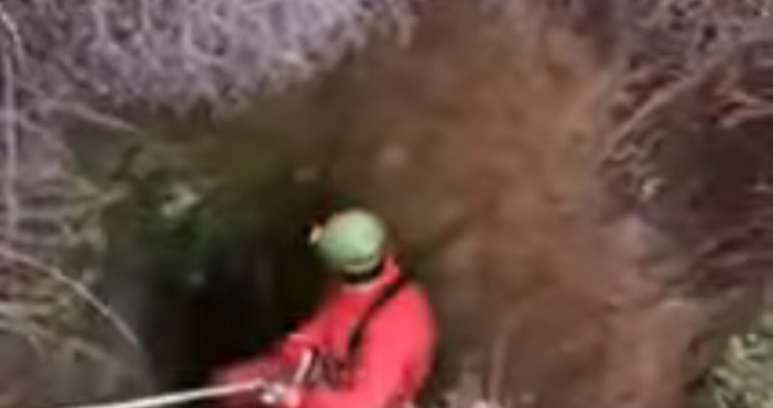 Екип от Доброволното формирование към Община Варна беше изправен пред