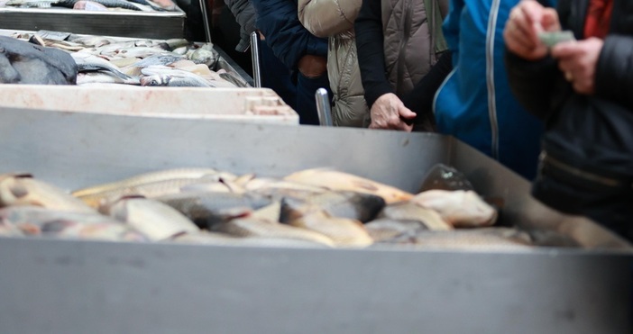 Белият толстолоб Hypophthalmichthys molitrix е сладководна риба от групата на