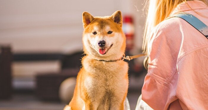 Нови промени се очаква да бъдат приети след нова година