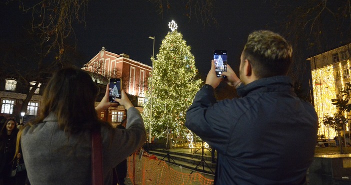 Снимки Община ВарнаКоледната елха на площад Независимост отново грейна навръх