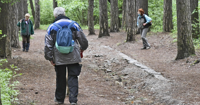 Прогнозата в планините е за облачно време без валежи съобщиха