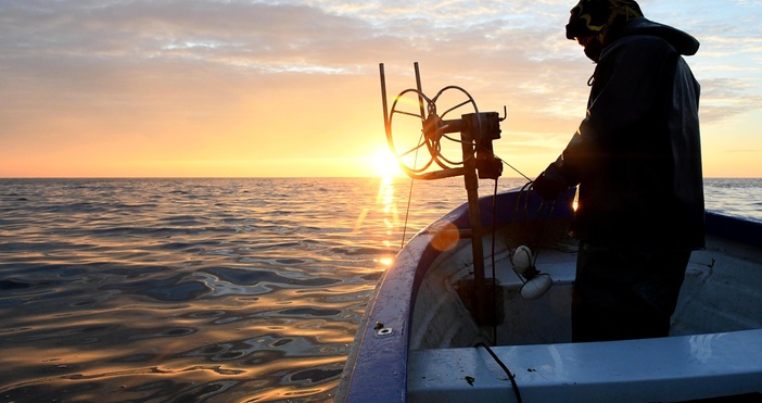 Положението тази година е трагично Годината е такава Рибата не