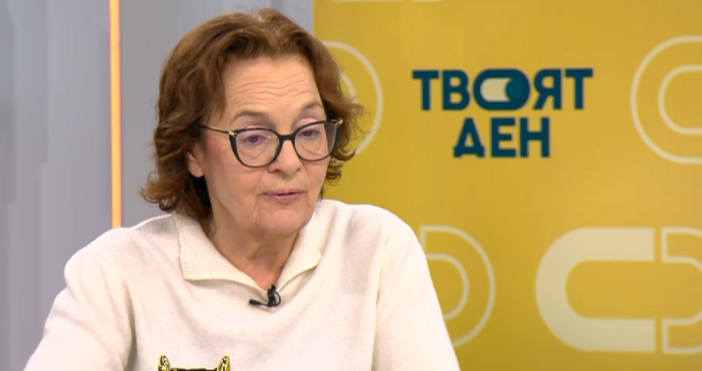 Правителството трябваше да има профила на експертен кабинет и така