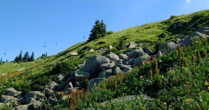 На 11 декември се отбелязва Световният ден на планините През