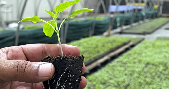 Държавен фонд Земеделие ДФЗ разплати преди крайният срок по индикативен