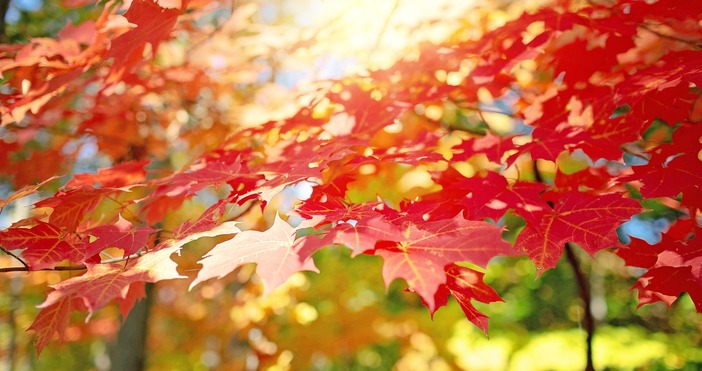 Днес над страната ще преобладава слънчево време Преди обяд на