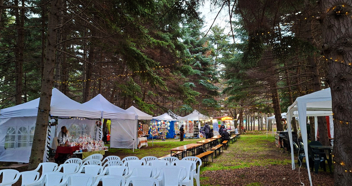 Заповядайте да споделим празничното настроение в Университетската ботаническа градина –