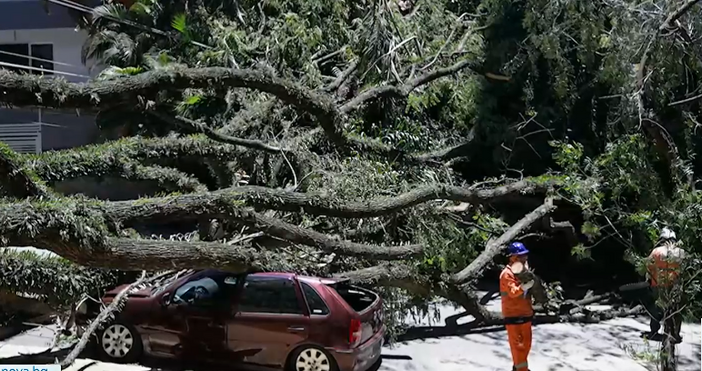 Два милиона души останаха без ток заради мощна буря в