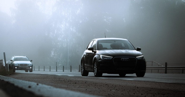 Днес на много места в Дунавската равнина Лудогорието и Горнотракийската