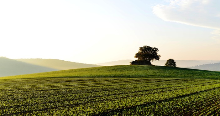 Малко след като България влезе в Европейския съюз през 2009