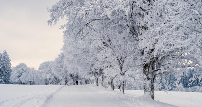 Арктически въздушни маси нахлуха в САЩ от Канада и донесоха