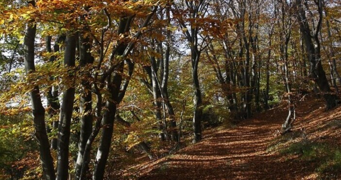 През нощта ще бъде ясно и тихо и отново на