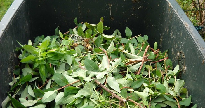 До три месеца раздават безвъзмездно компостери на 500 домакинства във