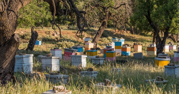 Държавен фонд Земеделие ДФЗ изплати над 14 млн лв 14